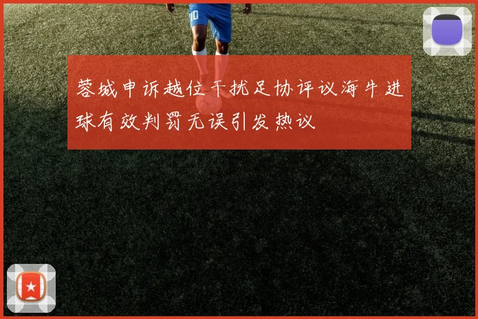 蓉城申诉越位干扰足协评议海牛进球有效判罚无误引发热议